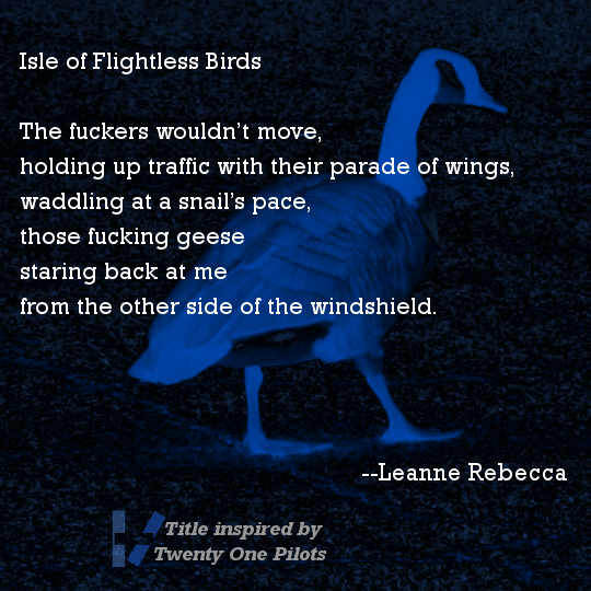 Isle of Flightless Birds