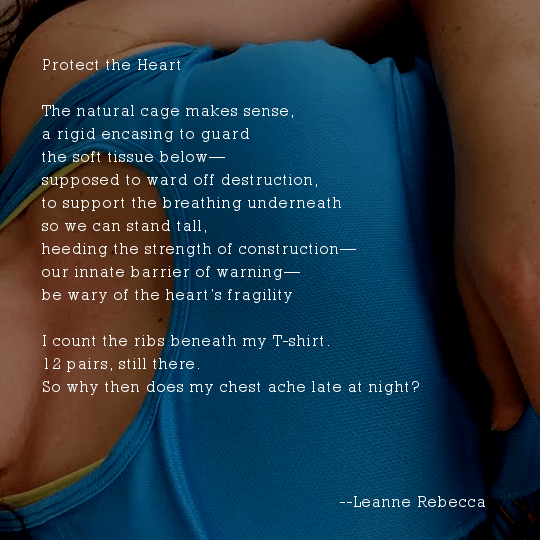 Protect the Heart  The natural cage makes sense, a rigid encasing to guard  the soft tissue underneath— supposed to ward off destruction, to support the breathing underneath so we can stand tall, heeding the strength of construction— our innate barrier of warning— be wary of the heart’s fragility    I count the ribs beneath my T-shirt. 12 pairs, still there. So why then does my chest ache late at night?
