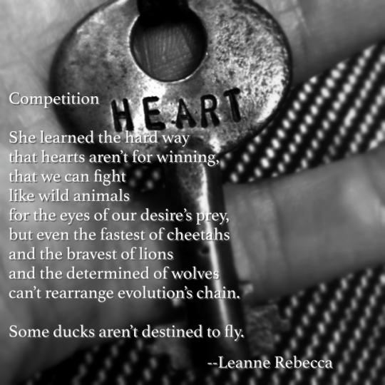 Competition   She learned the hard way that hearts aren’t for winning, that we can fight like wild animals for the eyes of our desire’s prey, but even the fastest of cheetahs and the bravest of lions and the determined of wolves can’t rearrange evolution’s chain.   Some ducks aren’t destined to fly.
